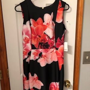 Calvin Klein Dress